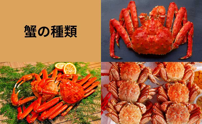 カニの種類