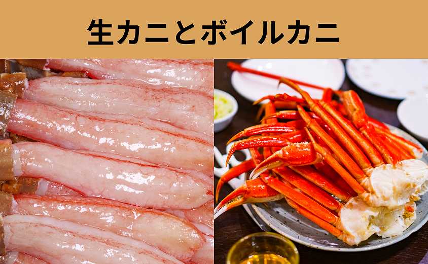 カニの種類